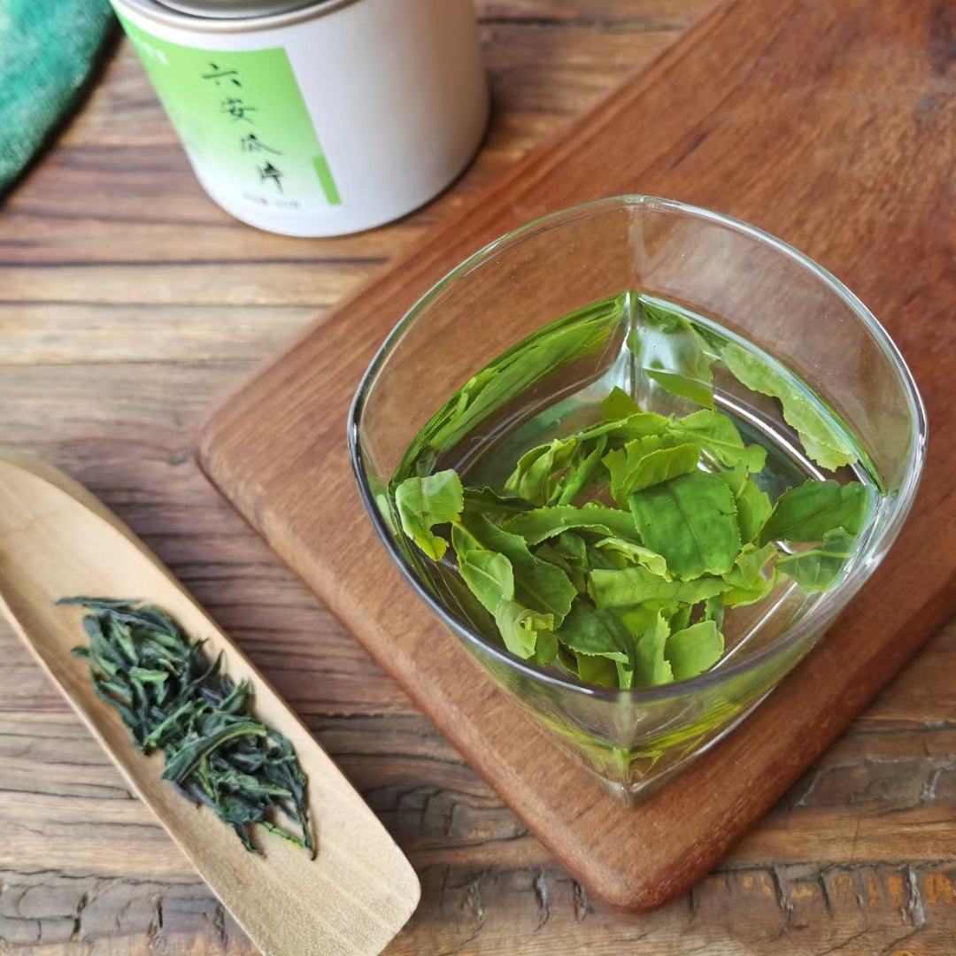 Lu'an guapian Green Tea